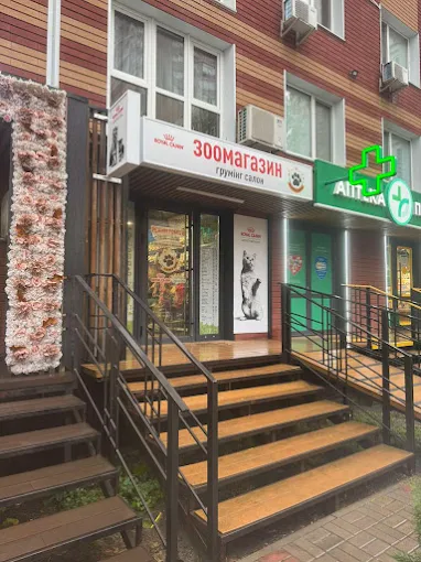 Інтер'єр салону